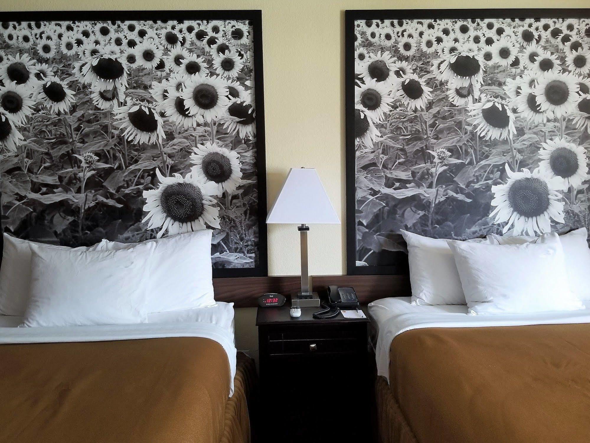 ซูเปอร์ 8 บาย วินด์แฮม เดสโมนส์ Hotel ดิมอยน์ ภายนอก รูปภาพ
