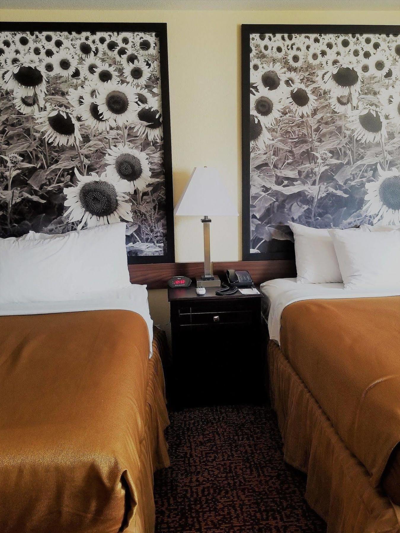 ซูเปอร์ 8 บาย วินด์แฮม เดสโมนส์ Hotel ดิมอยน์ ภายนอก รูปภาพ